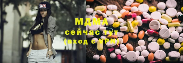 хмурый Аркадак
