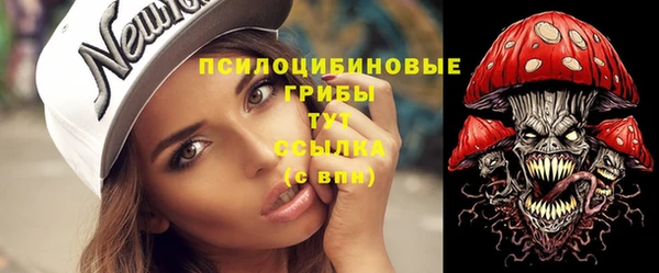 тгк Алзамай
