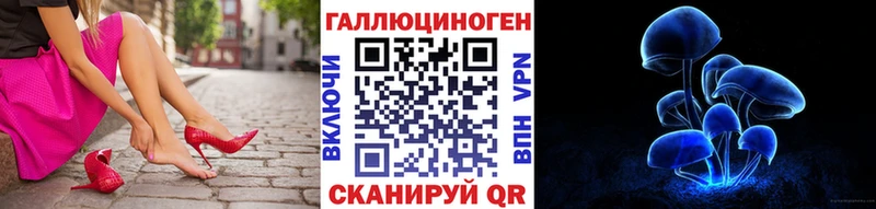 Псилоцибиновые грибы мицелий  Купить  Тулун 